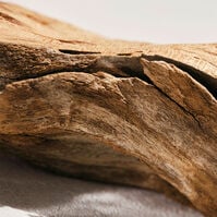 CHLOÉ INTENSE  100ml-223855 CHLOÉ INTENSE  100ml-223855 5